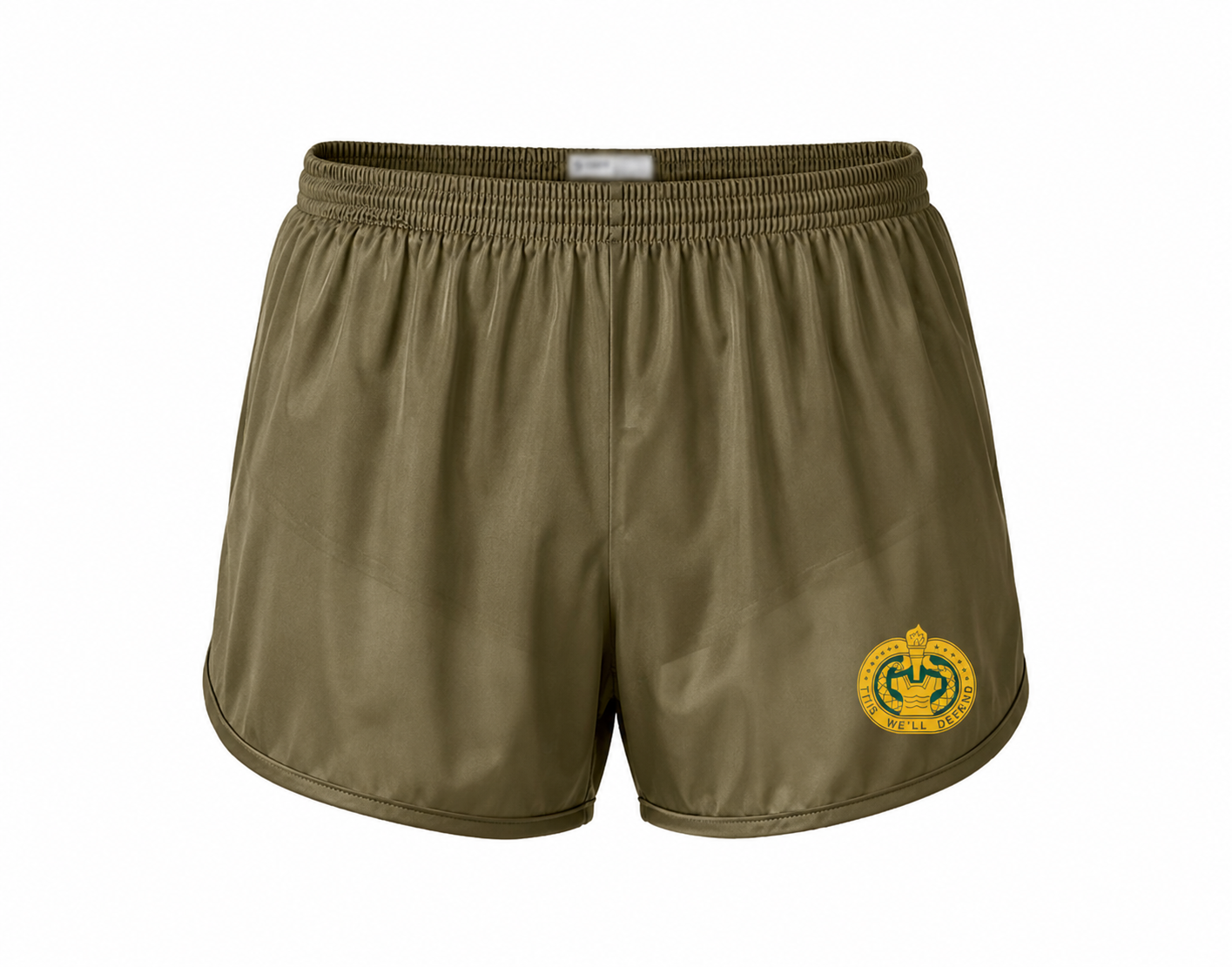 Army Drill Sergeant Ranger Shorts – Drill Sergeant This We'll Defend PT Shorts