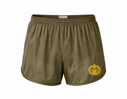 Army Drill Sergeant Ranger Shorts – Drill Sergeant This We'll Defend PT Shorts