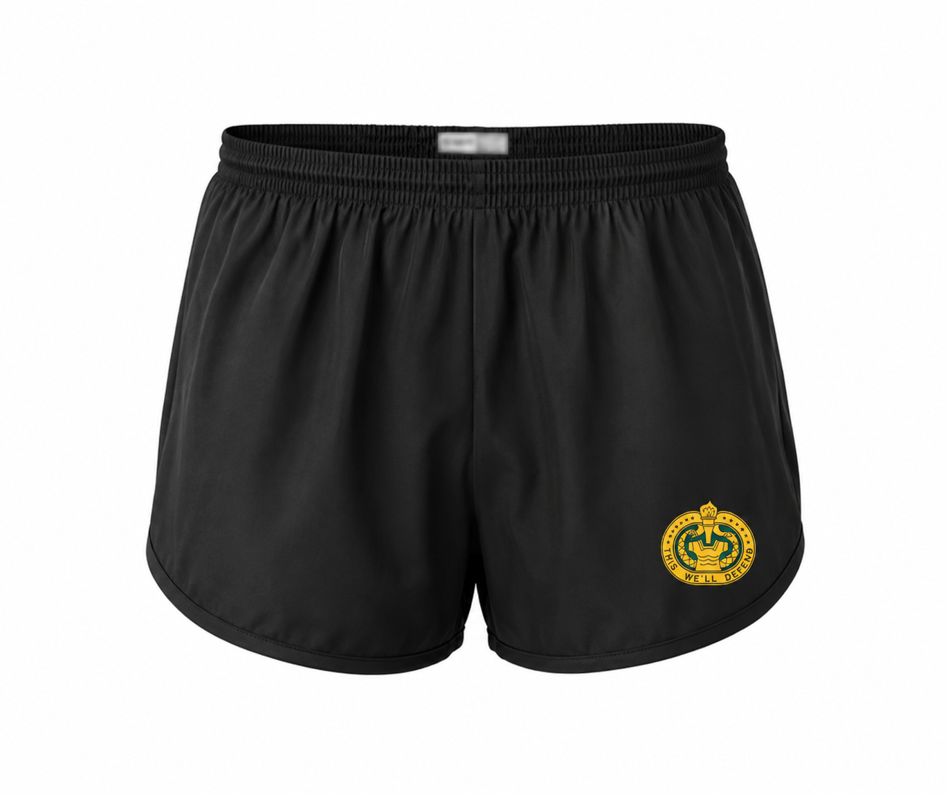 Army Drill Sergeant Ranger Shorts – Drill Sergeant This We'll Defend PT Shorts